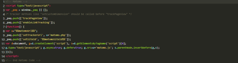 Screenshot aus Plugin Borlabs Cookie: 15 Zeilen JavaScript für Matomo